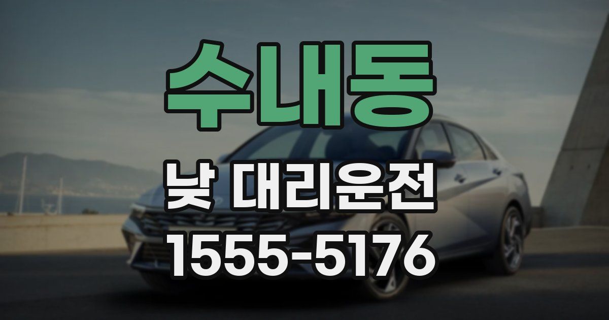수내동 낮 대리운전