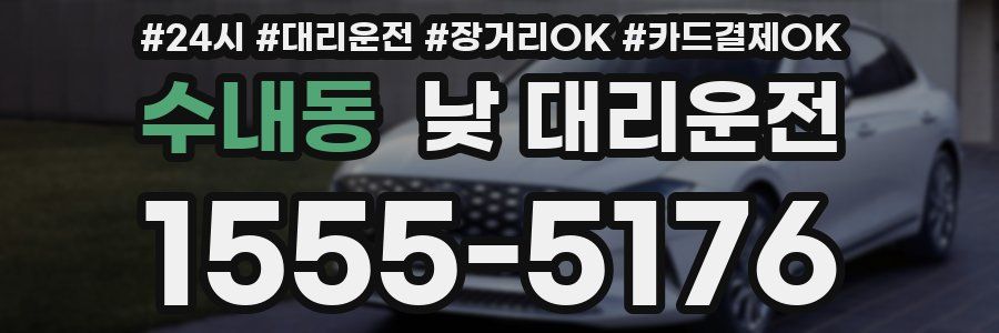수내동 낮 대리운전