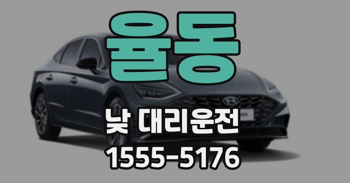 율동 낮 대리운전