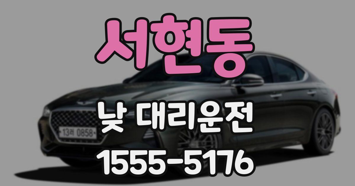 서현동 낮 대리운전