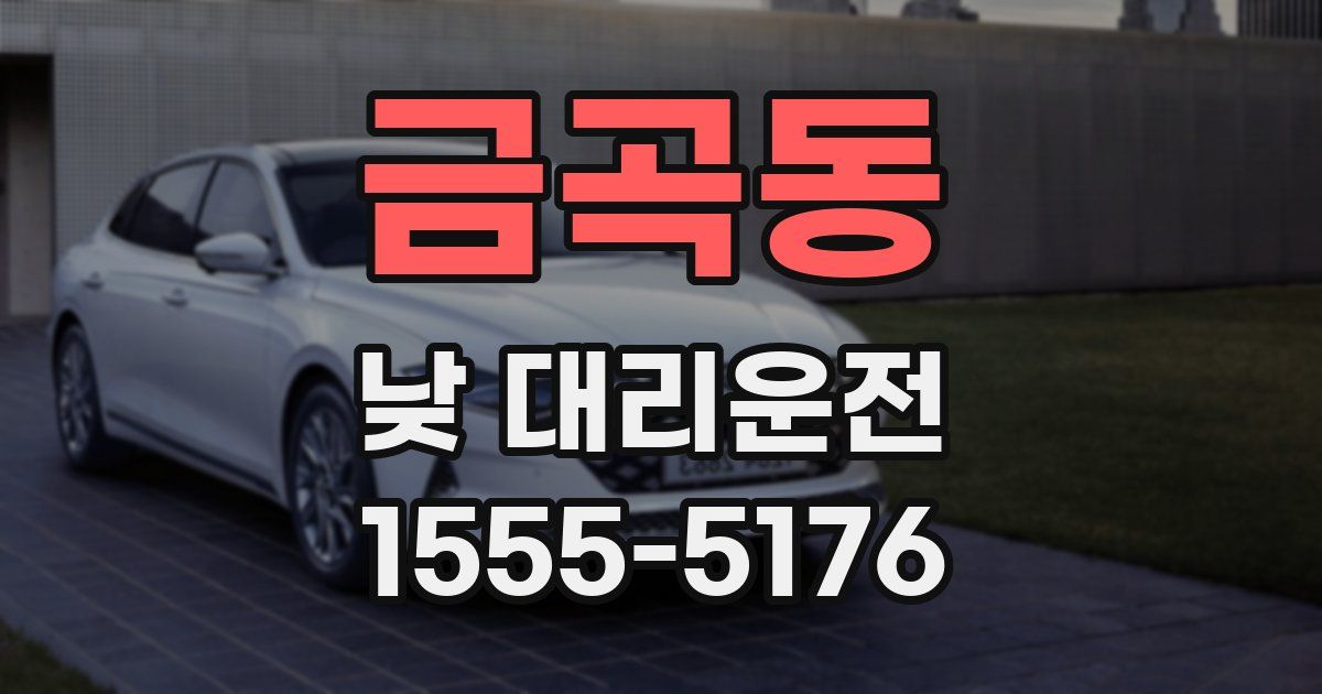 금곡동 낮 대리운전