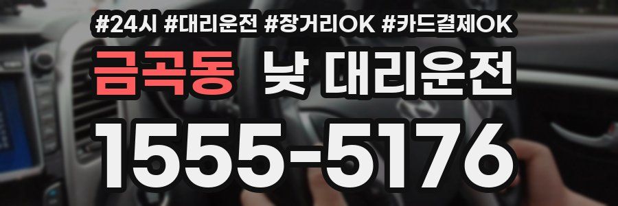 금곡동 낮 대리운전