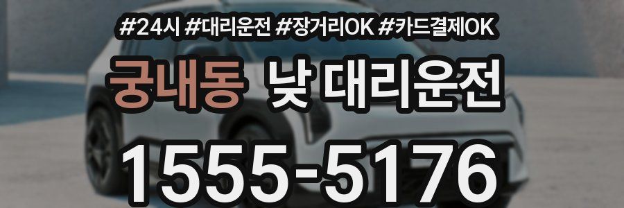궁내동 낮 대리운전