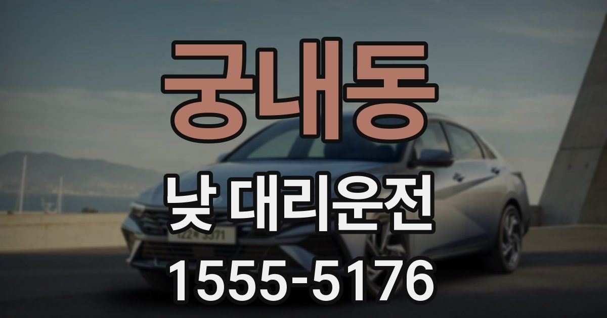 궁내동 낮 대리운전