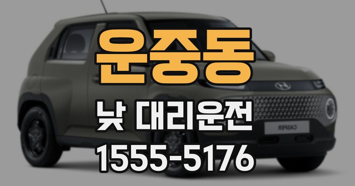 운중동 낮 대리운전
