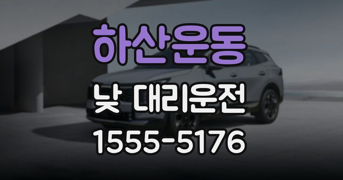 하산운동 낮 대리운전