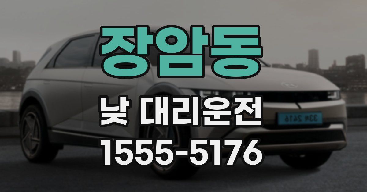 장암동 낮 대리운전