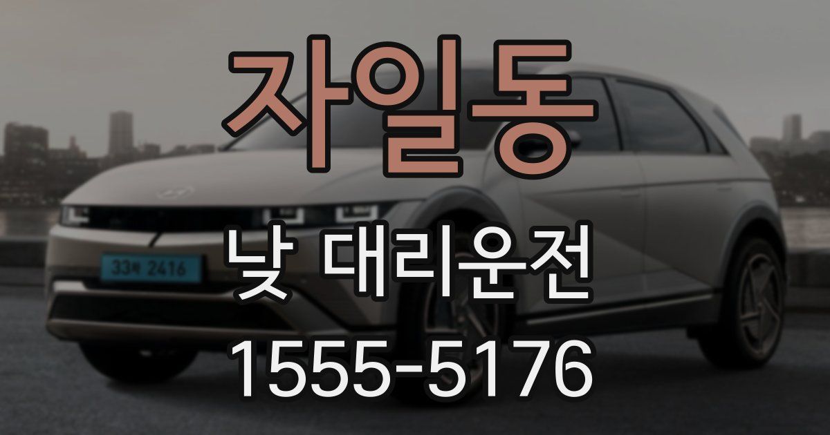 자일동 낮 대리운전