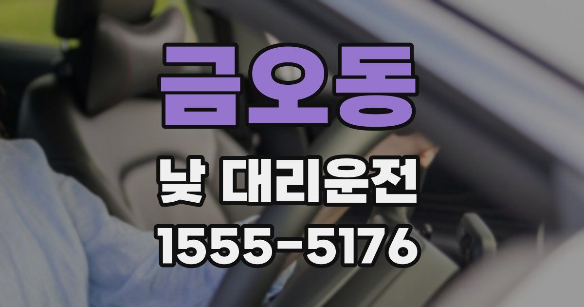금오동 낮 대리운전