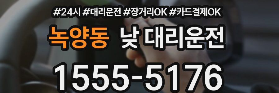 녹양동 낮 대리운전