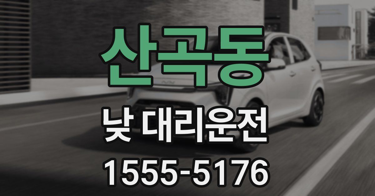산곡동 낮 대리운전