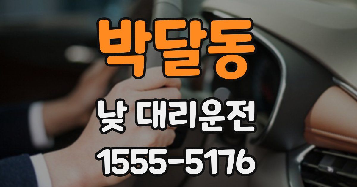 박달동 낮 대리운전