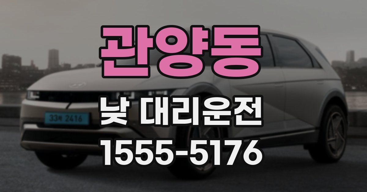 관양동 낮 대리운전