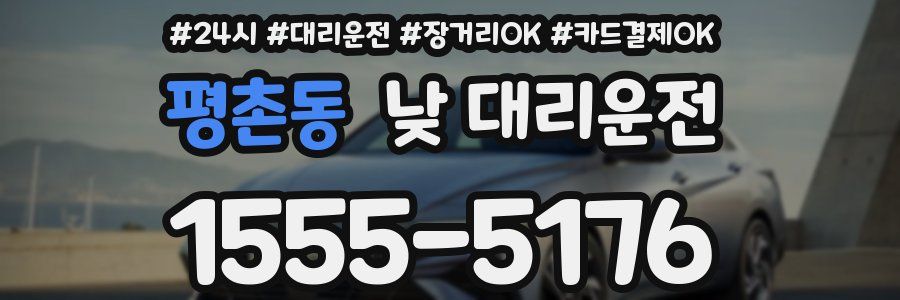 평촌동 낮 대리운전
