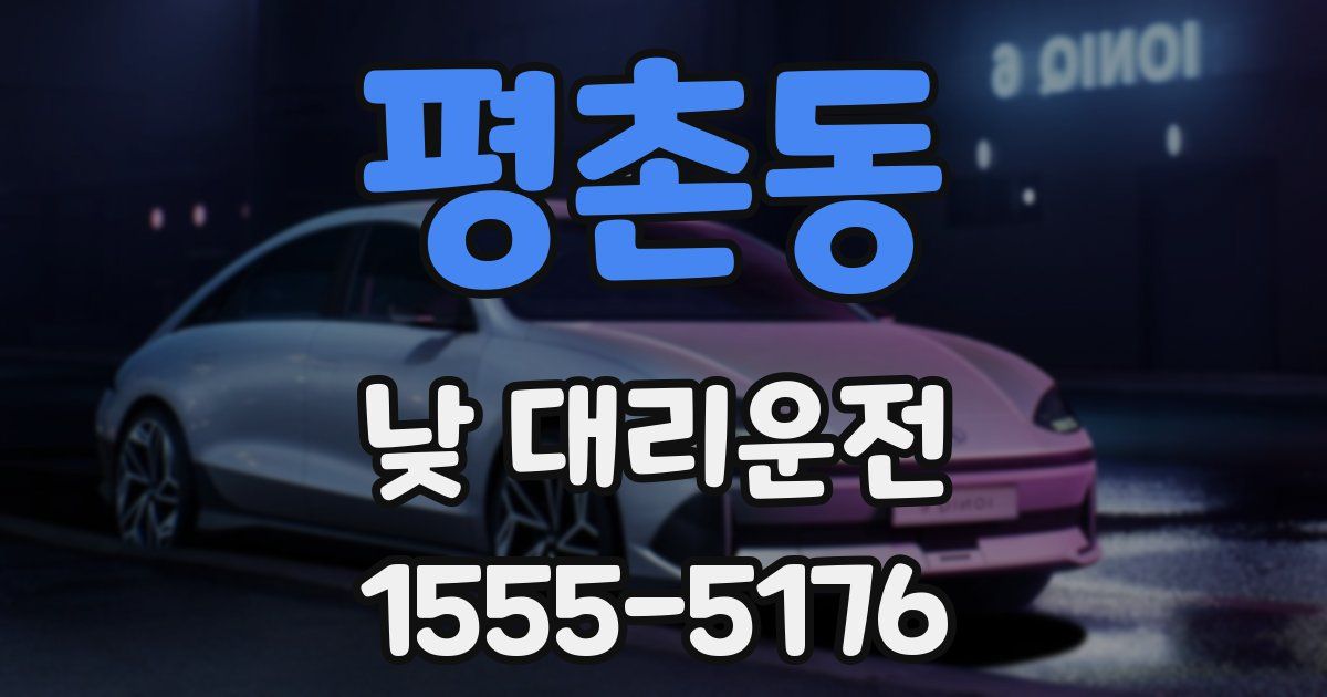 평촌동 낮 대리운전