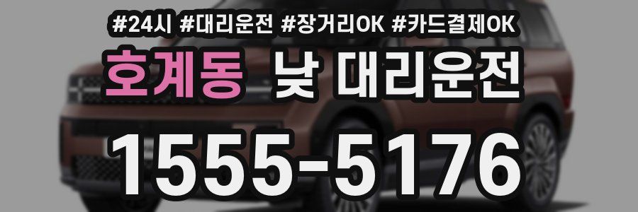 호계동 낮 대리운전
