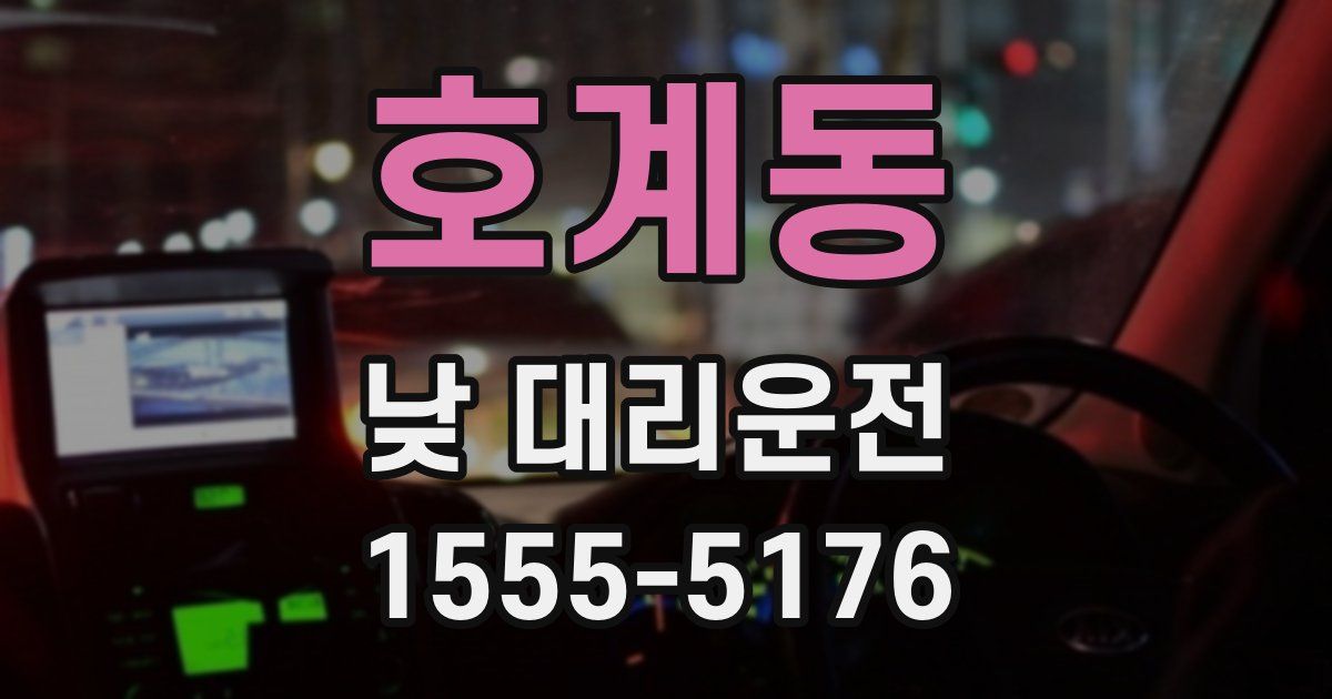 호계동 낮 대리운전