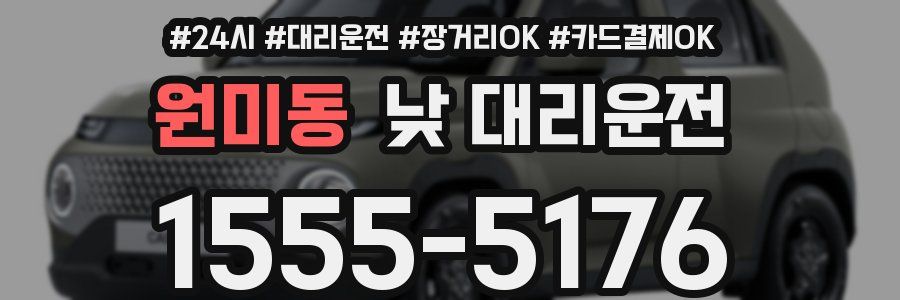 원미동 낮 대리운전