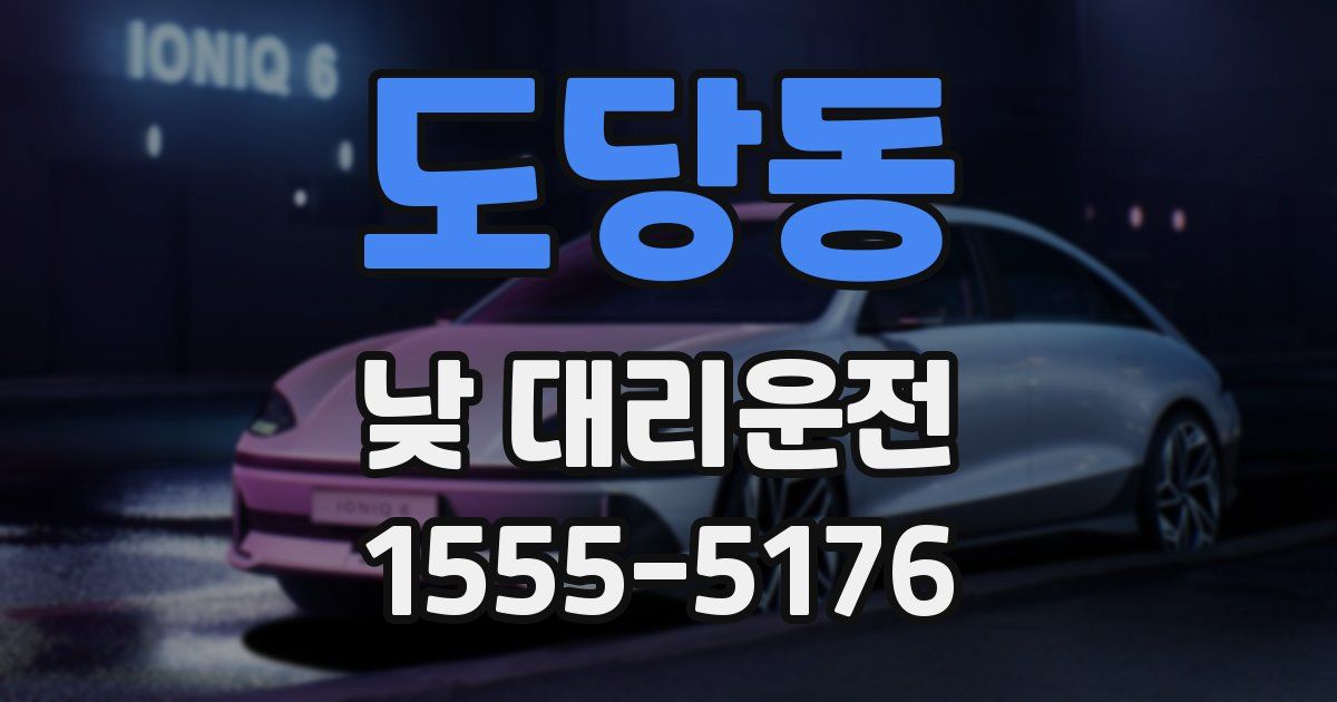 도당동 낮 대리운전