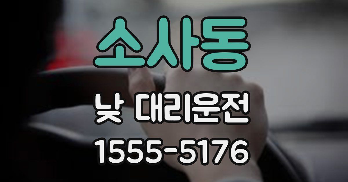 소사동 낮 대리운전