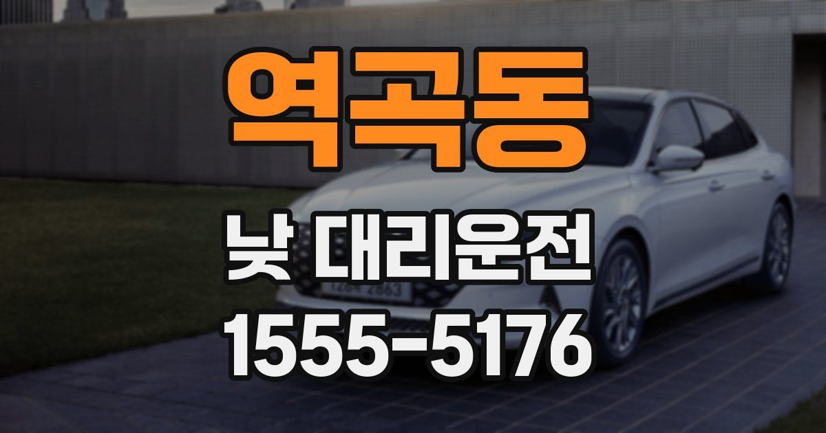 역곡동 낮 대리운전