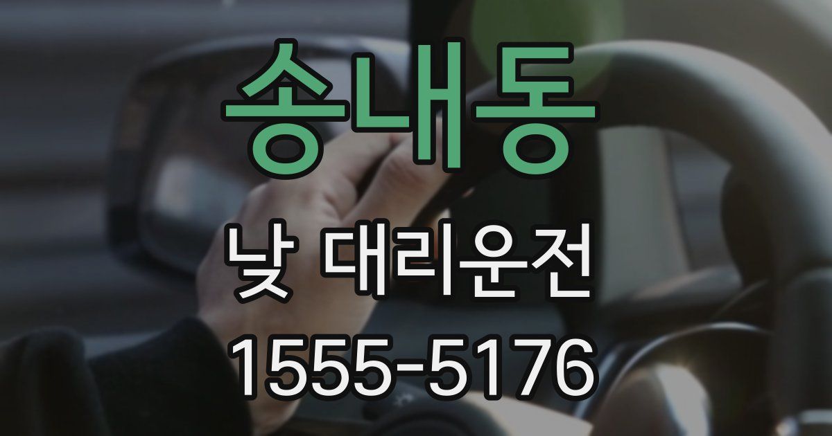 송내동 낮 대리운전