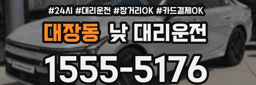 대장동 낮 대리운전