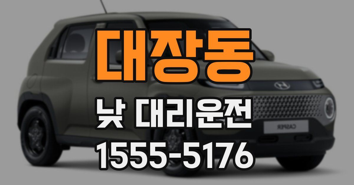 대장동 낮 대리운전
