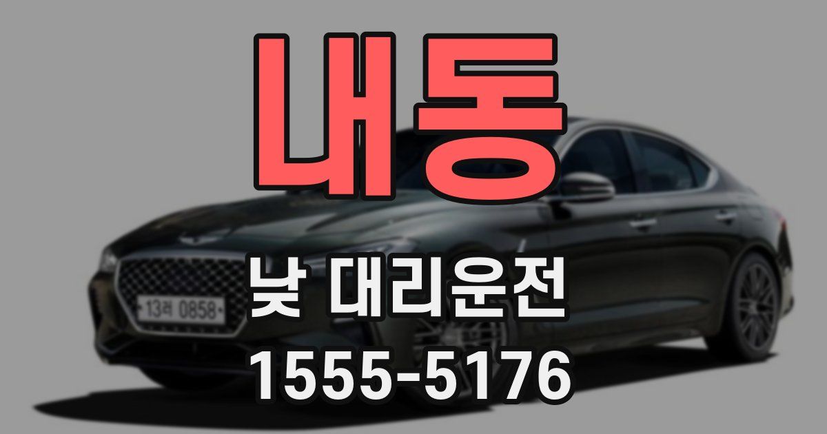 내동 낮 대리운전