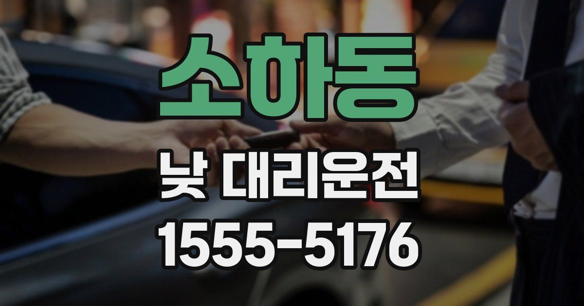 소하동 낮 대리운전
