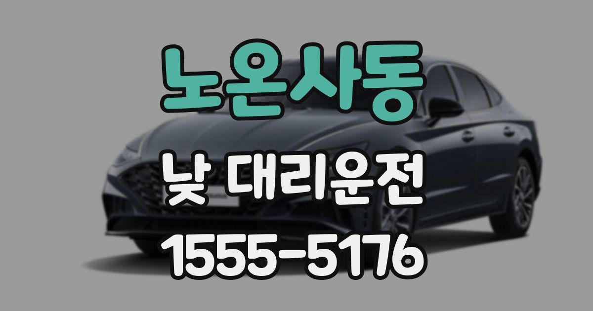 노온사동 낮 대리운전