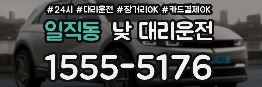 일직동 낮 대리운전