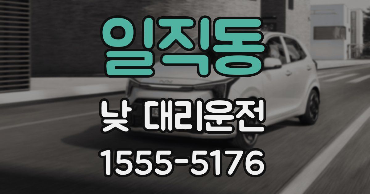 일직동 낮 대리운전