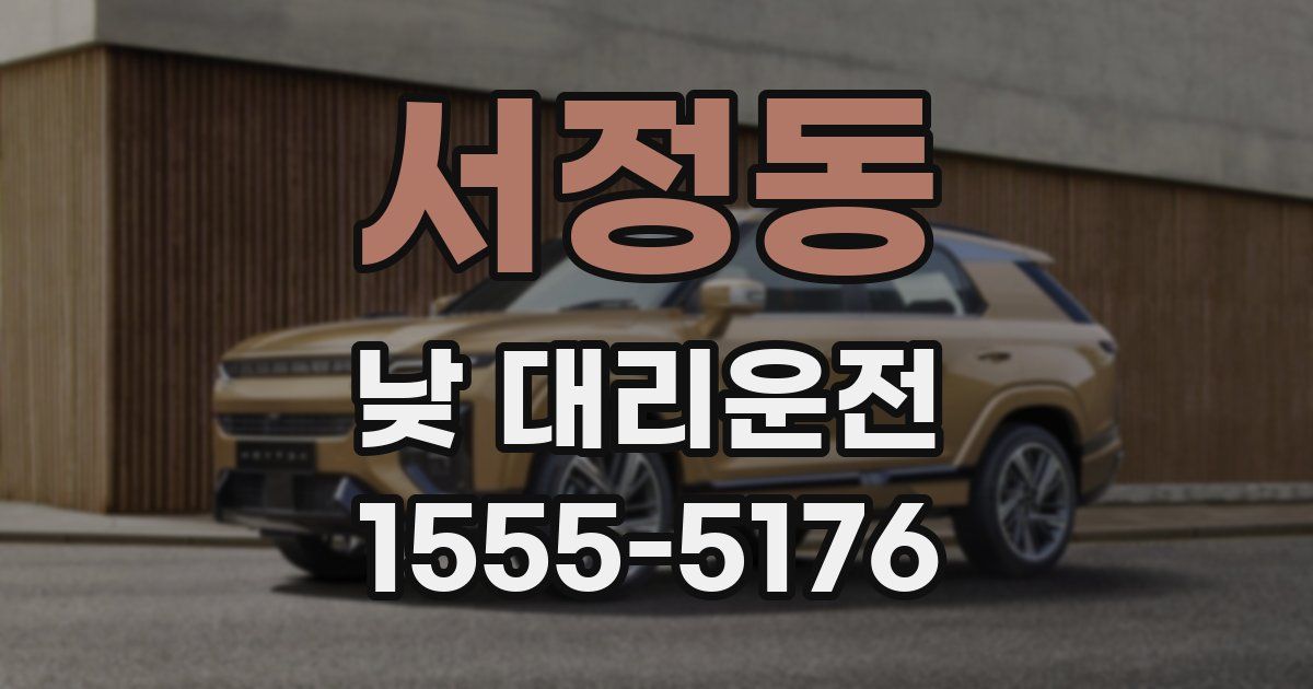서정동 낮 대리운전