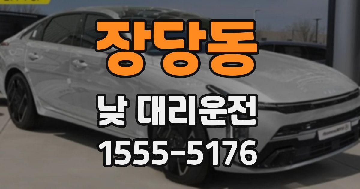 장당동 낮 대리운전