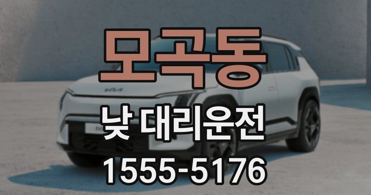 모곡동 낮 대리운전