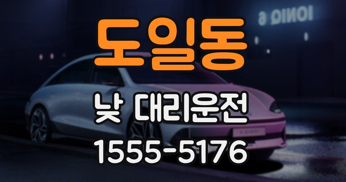 도일동 낮 대리운전