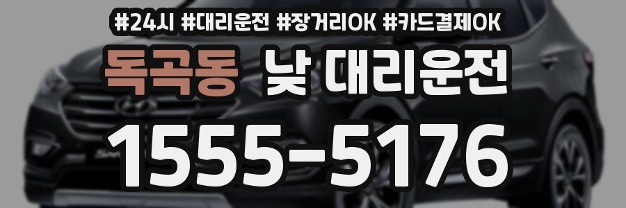 독곡동 낮 대리운전