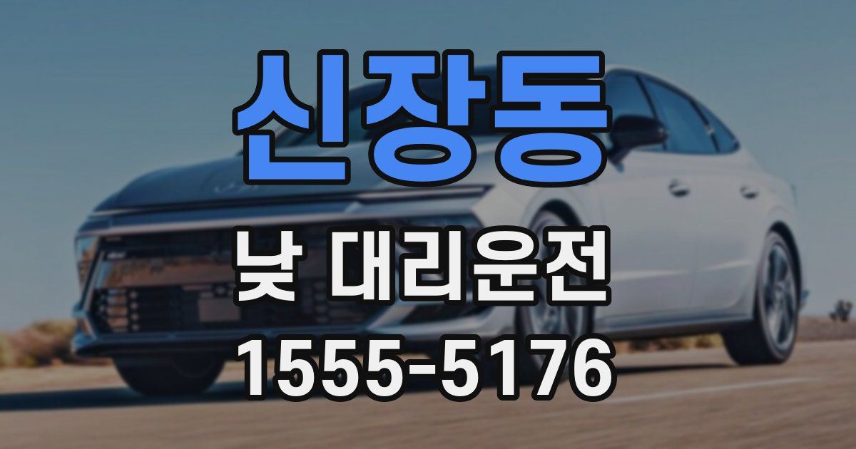 신장동 낮 대리운전