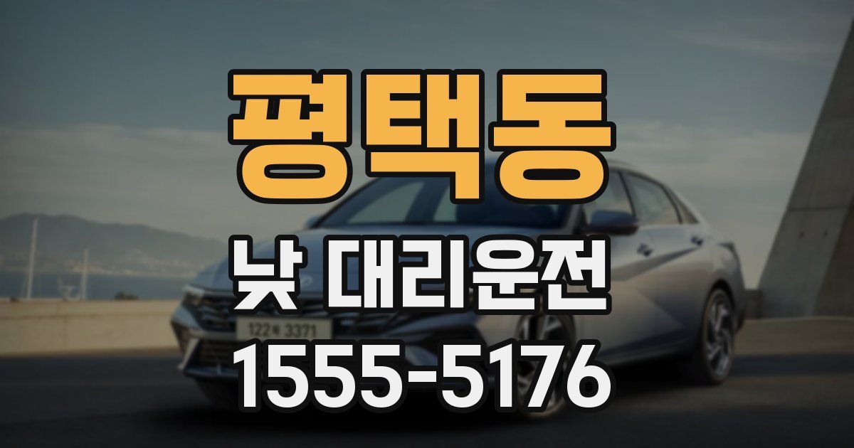 평택동 낮 대리운전