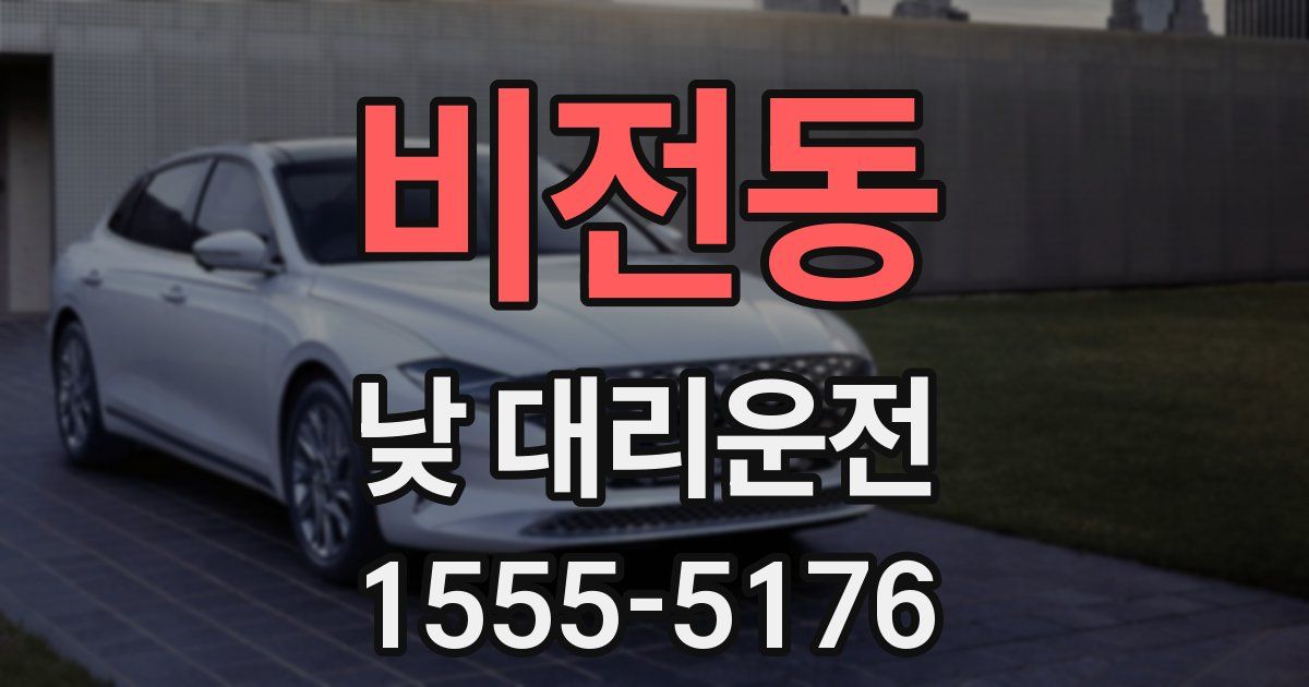 비전동 낮 대리운전
