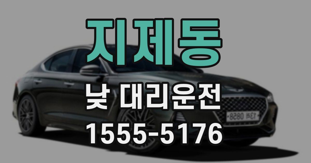 지제동 낮 대리운전