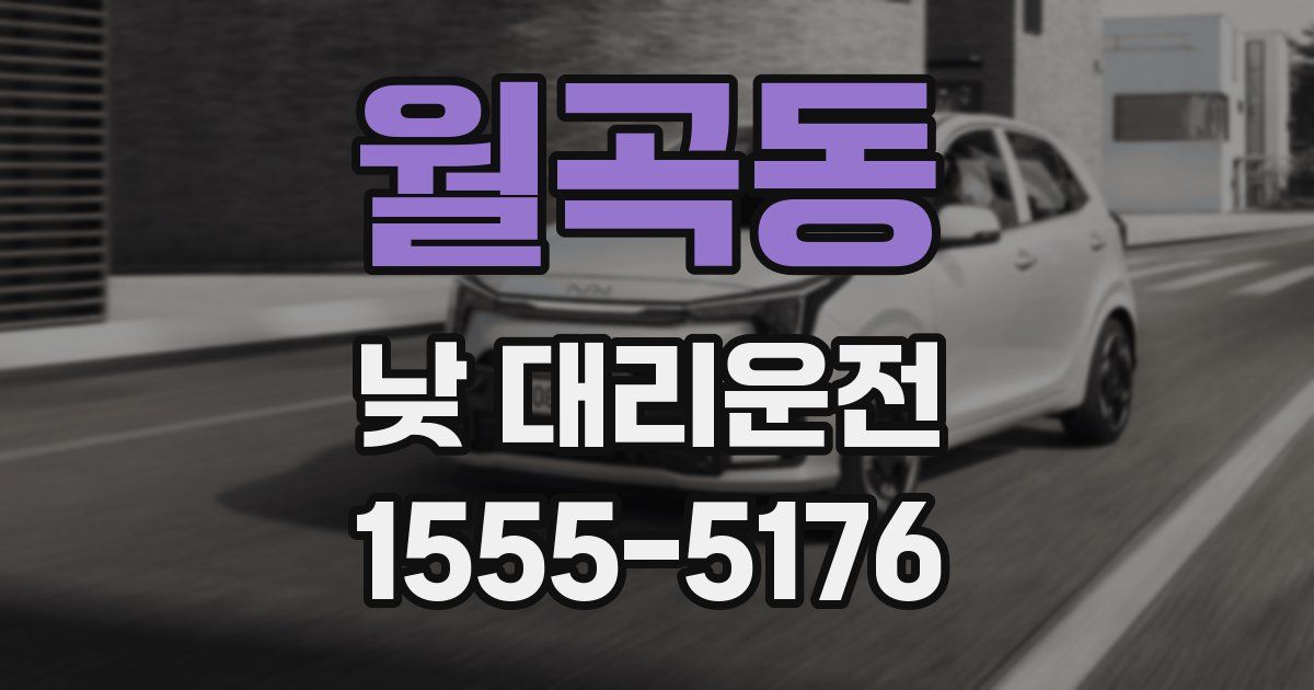 월곡동 낮 대리운전