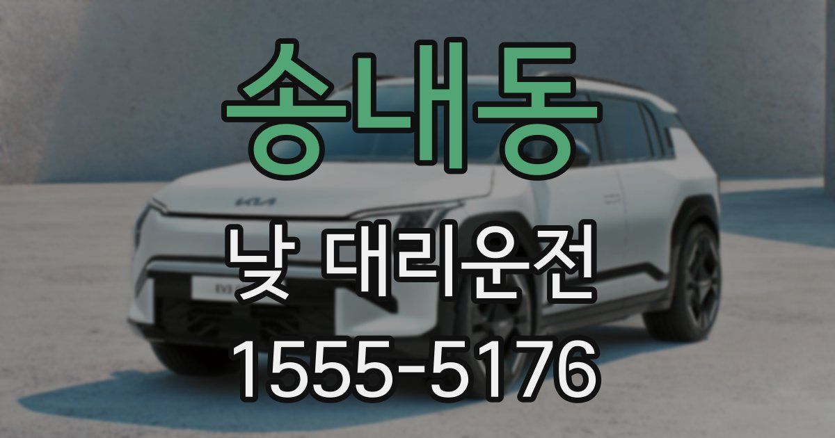 송내동 낮 대리운전