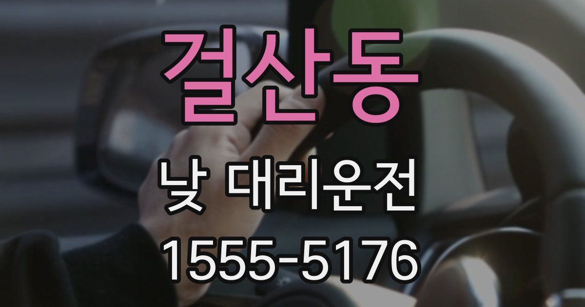 걸산동 낮 대리운전