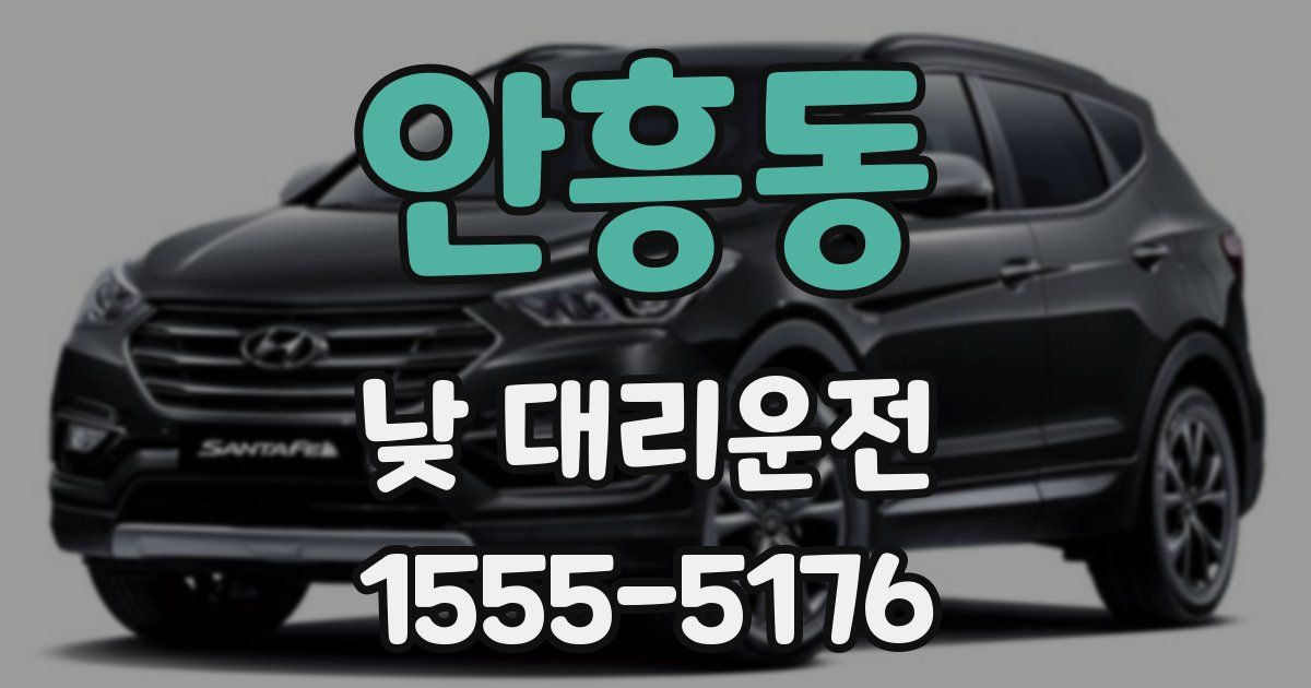 안흥동 낮 대리운전