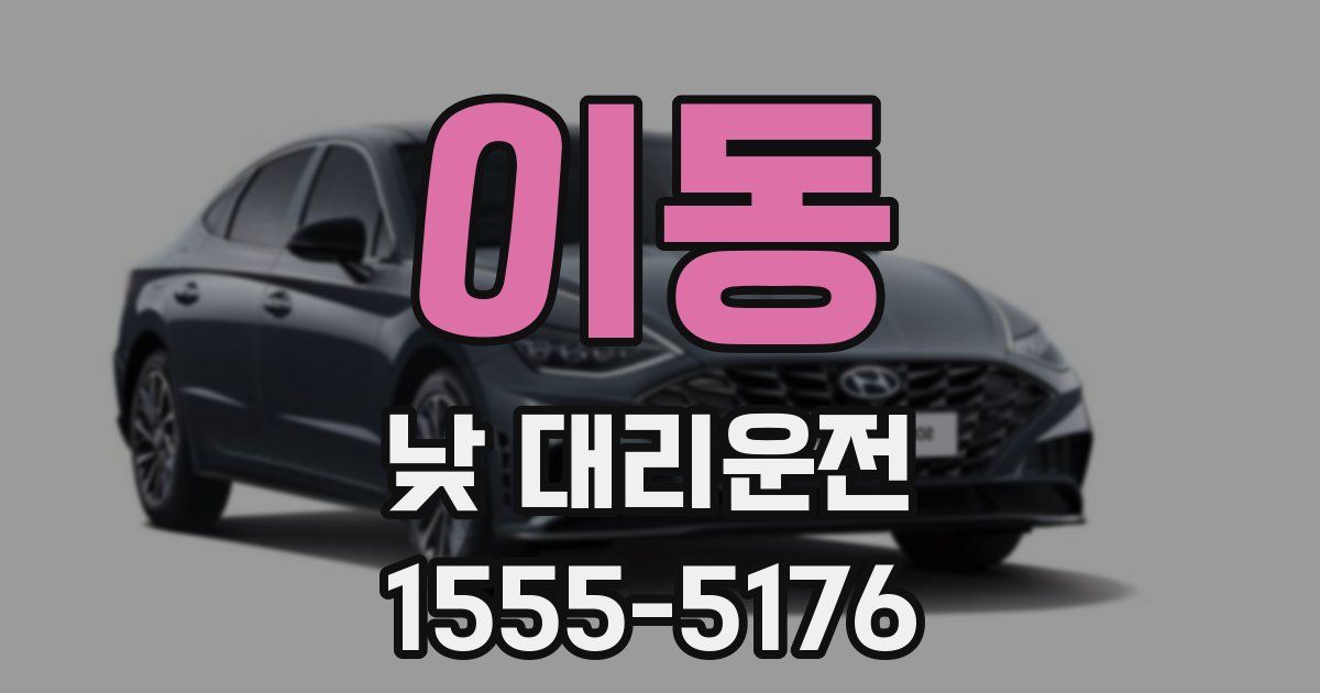 이동 낮 대리운전
