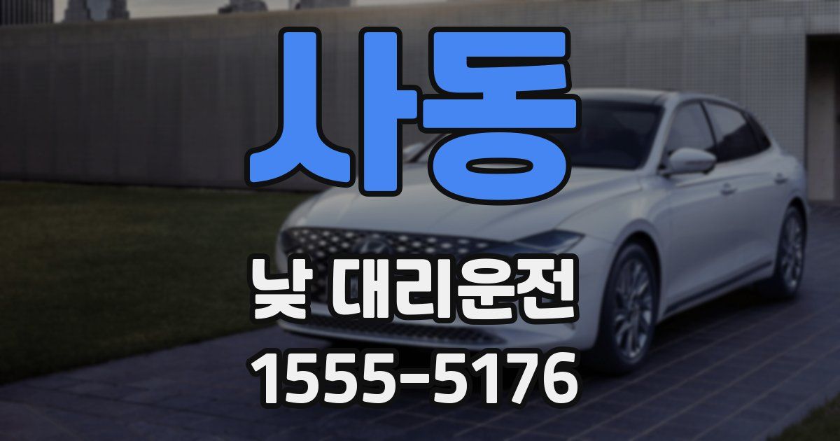 사동 낮 대리운전