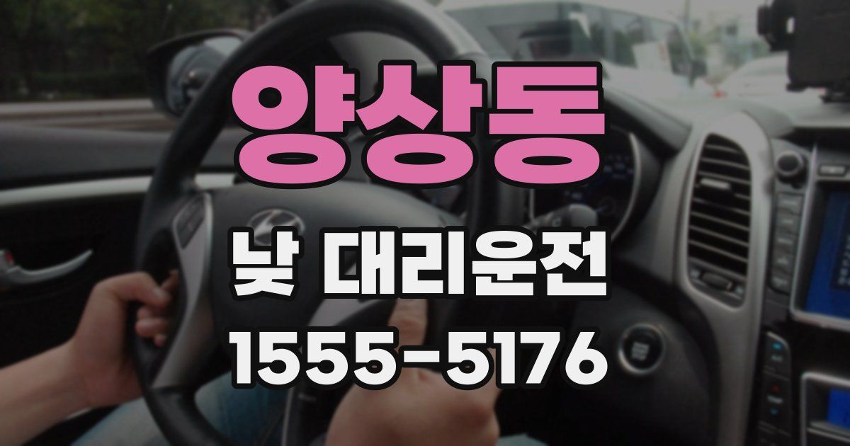 양상동 낮 대리운전