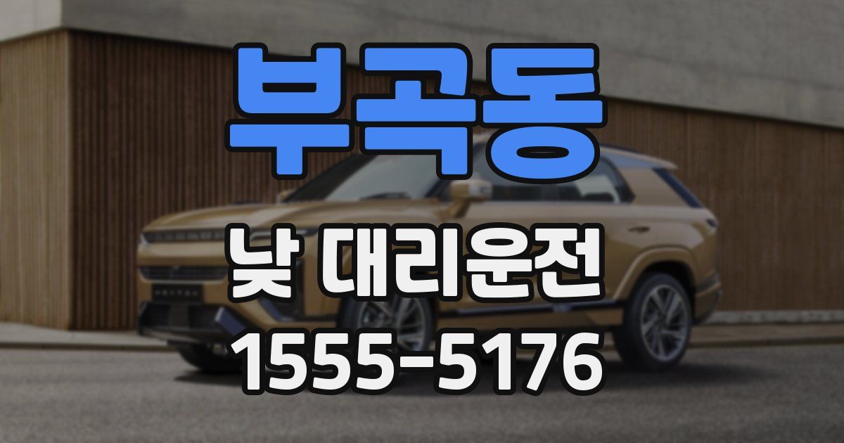 부곡동 낮 대리운전